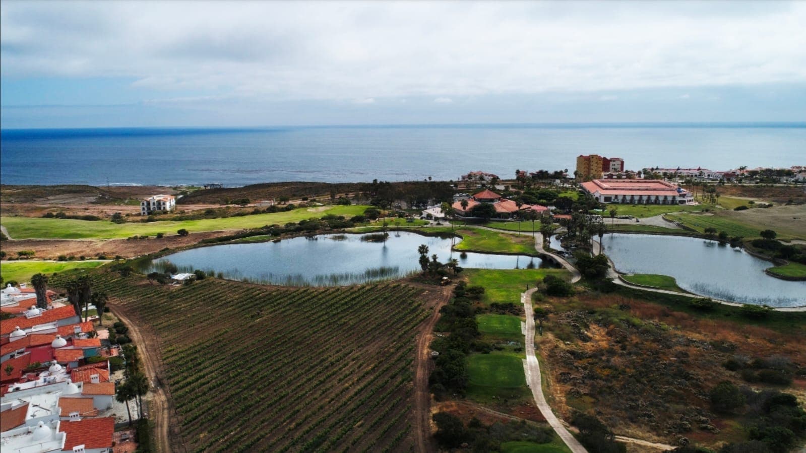 Vista aérea de la región vinícola de Ensenada