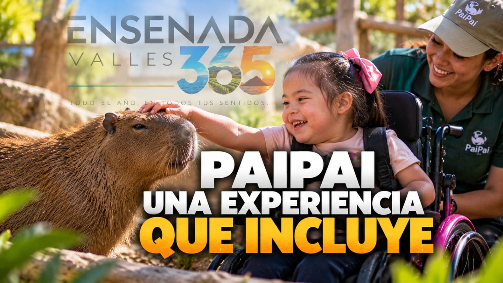 Niña en silla de ruedas sonriendo al acariciar un capybara en PaiPai