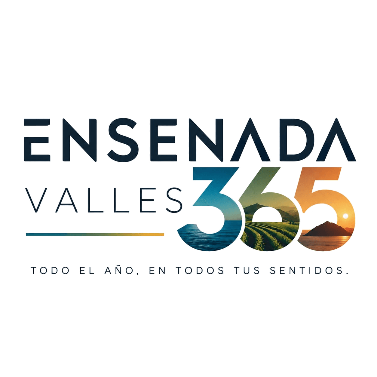 Ensenada Valles 365
