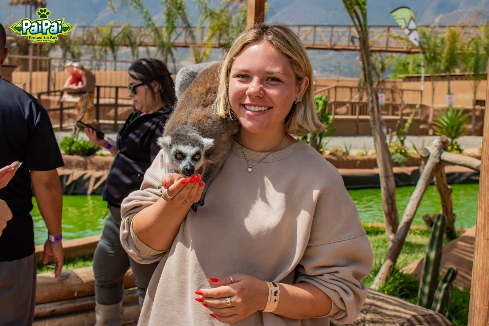 Lemur encounter at Madagascar Island